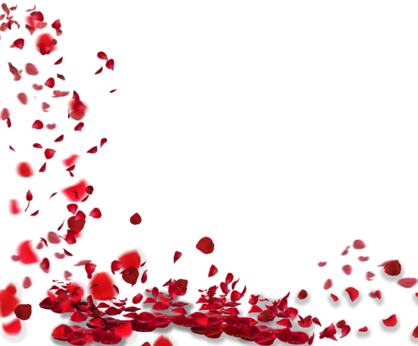 Transparent Rose Petal Flower Heart Love for Valentines Day