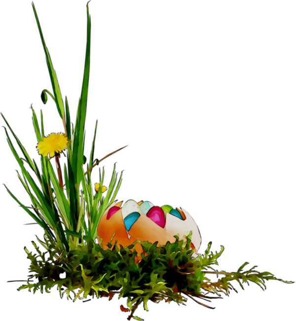 Transparent Floral Design Easter Easter Egg Grass for Easter