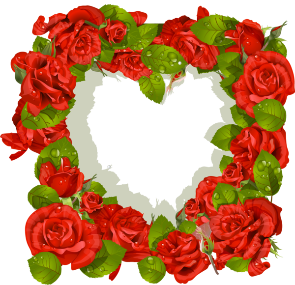 Transparent Rose Garden Roses Heart Flower for Valentines Day
