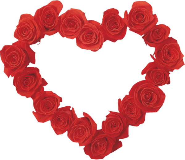 Transparent Garden Roses Heart Valentine S Day Flower for Valentines Day