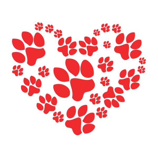 Transparent Puppy Newfoundland Dog Tshirt Heart Love for Valentines Day