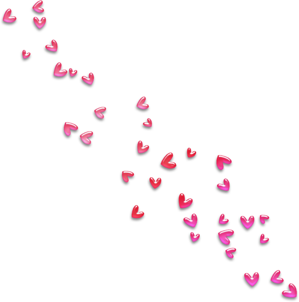 Transparent Albom Flower Petal Pink Heart for Valentines Day