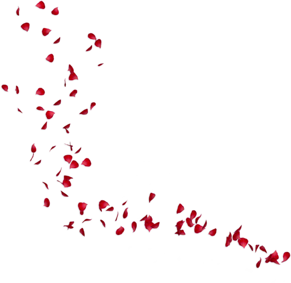 Transparent Petal Flower Rose Heart Love for Valentines Day