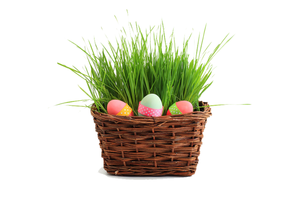 Transparent Easter Bunny Easter Easter Egg Plant Commodity for Easter