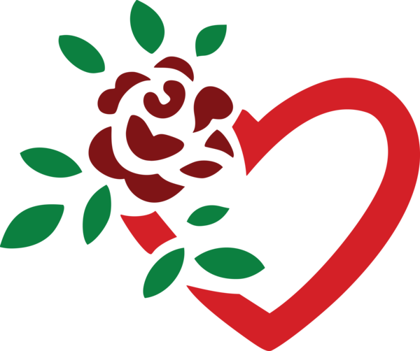 Transparent Heart Rose Black Rose Petal for Valentines Day