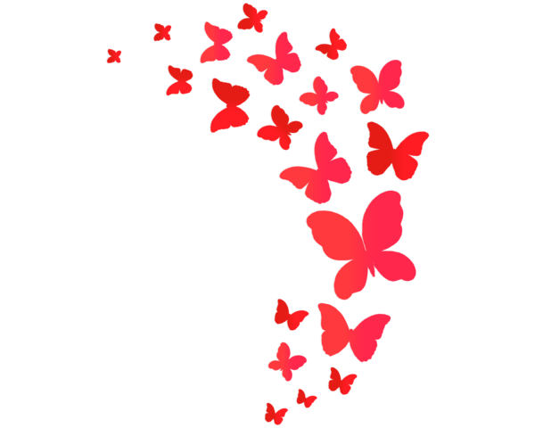 Transparent Butterfly Papillon Dog Red Heart for Valentines Day