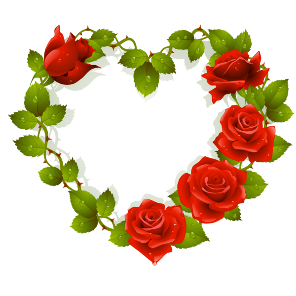 Transparent Rose Flower Garden Roses Heart for Valentines Day