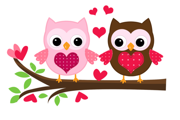 Transparent Owl Little Owl Valentine S Day Pink for Valentines Day