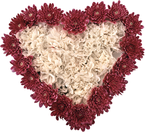 Transparent Flower Valentine S Day Heart Magenta for Valentines Day