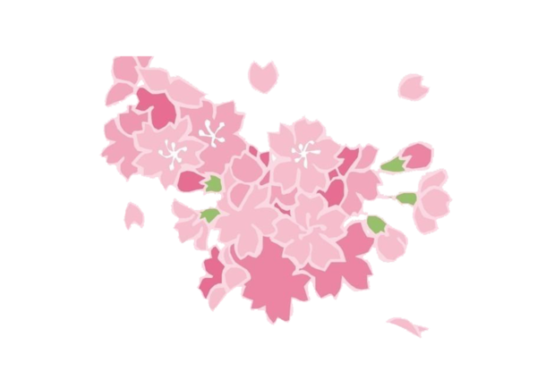 Transparent Flower Petal Floral Design Heart Symmetry for Valentines Day