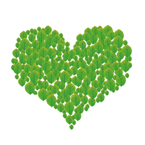 Transparent Green Heart Leaf Grass for Valentines Day