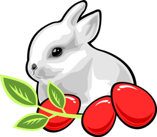 Transparent Easter Bunny Easter Blog Line Art Flower for Easter