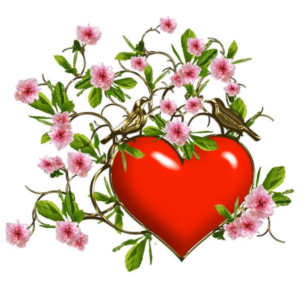 Transparent Dia Dos Namorados Blog Drawing Heart Plant for Valentines Day