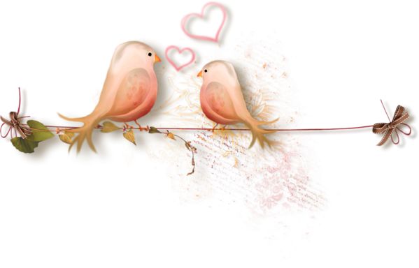 Transparent Love Heart Valentine S Day Bird Branch for Valentines Day