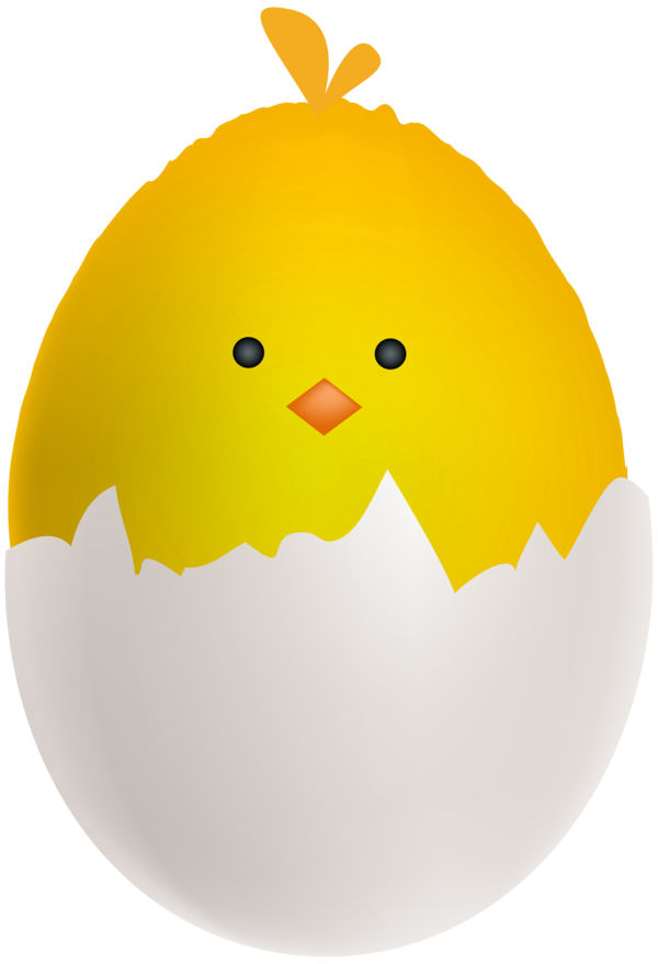 Transparent Chicken Full Breakfast Egg Yellow for Easter