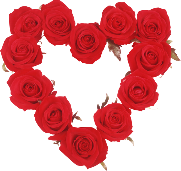 Transparent Garden Roses Heart Rose Petal for Valentines Day