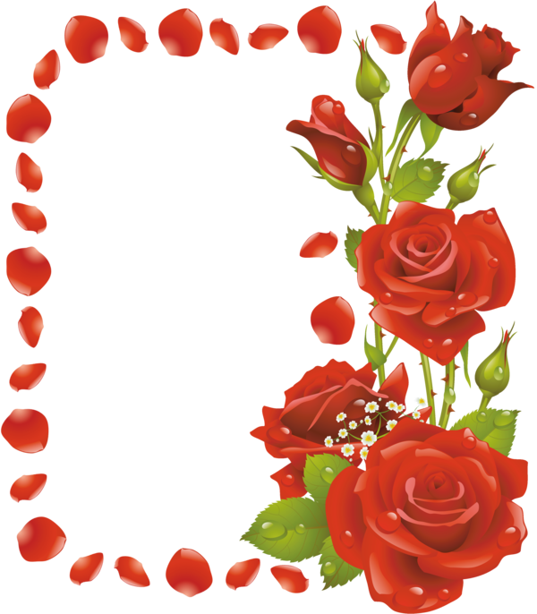 Transparent Picture Frames Flower Rose Petal Heart for Valentines Day