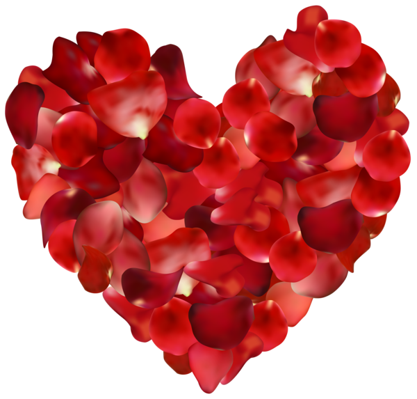 Transparent Centifolia Roses Petal Flower Heart for Valentines Day