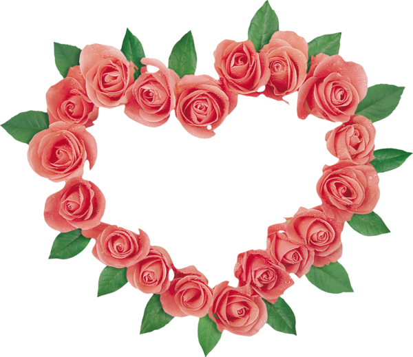Transparent Garden Roses Rose Flower Petal Heart for Valentines Day