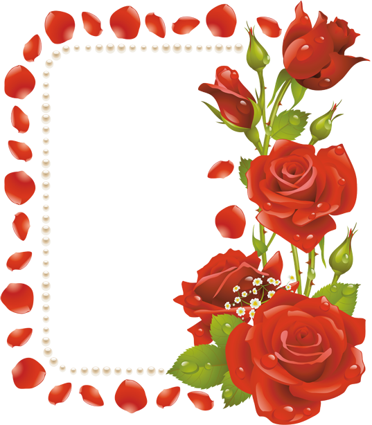 Transparent Flower Picture Frames Rose Petal Heart for Valentines Day
