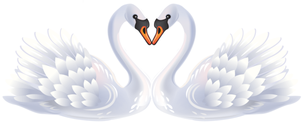 Transparent Mute Swan Bird Black Swan Heart Water Bird for Valentines Day