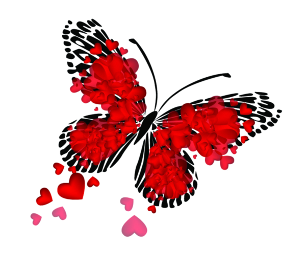 Transparent Heart Valentine S Day Butterfly Pollinator for Valentines Day