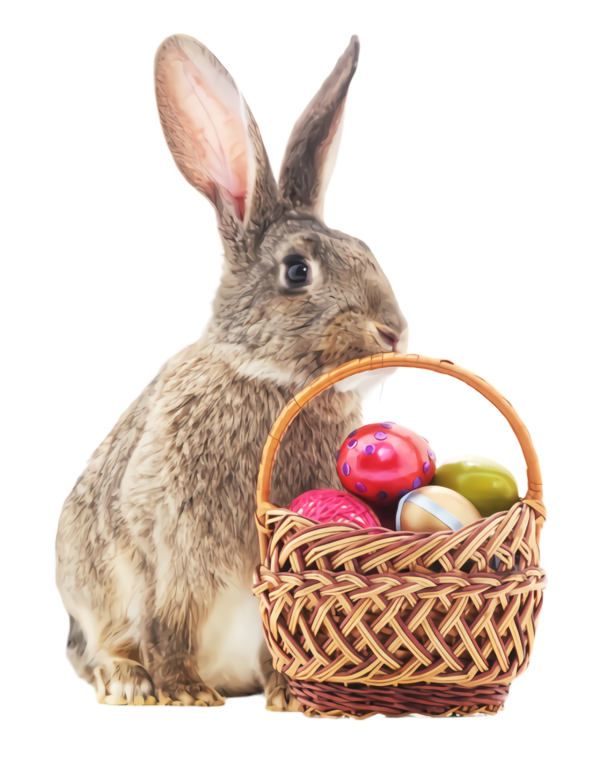 Transparent Rabbit Rabbits And Hares Domestic Rabbit for Easter
