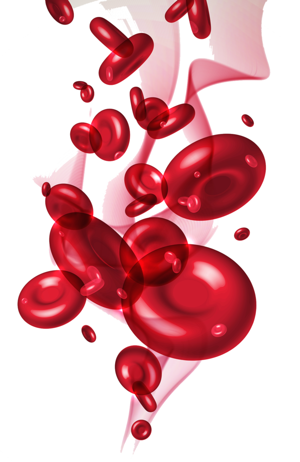 Transparent Red Blood Cell Cell Blood Heart Love for Valentines Day
