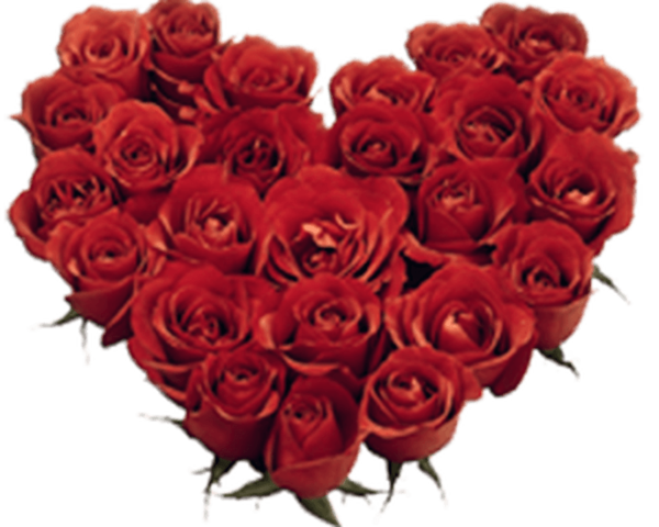 Transparent Rose Red Flower Petal Heart for Valentines Day