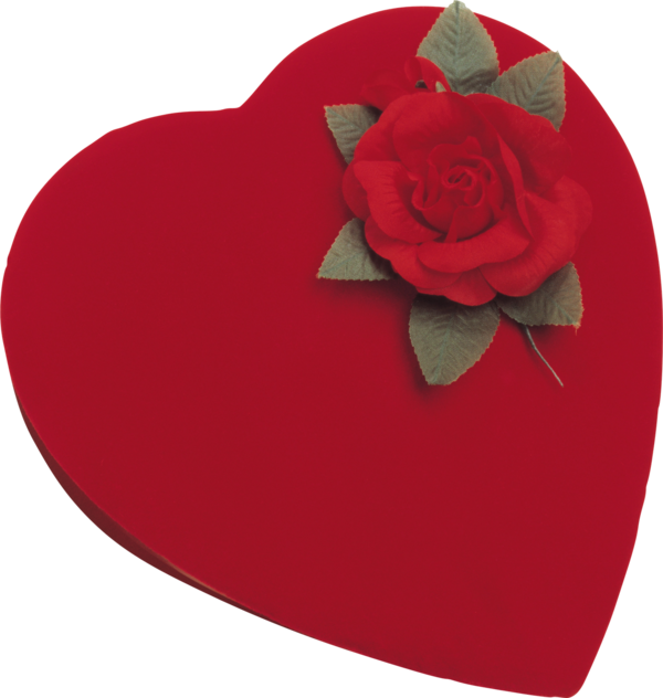 Transparent Moving Hearts Image Editing Heart Flower for Valentines Day