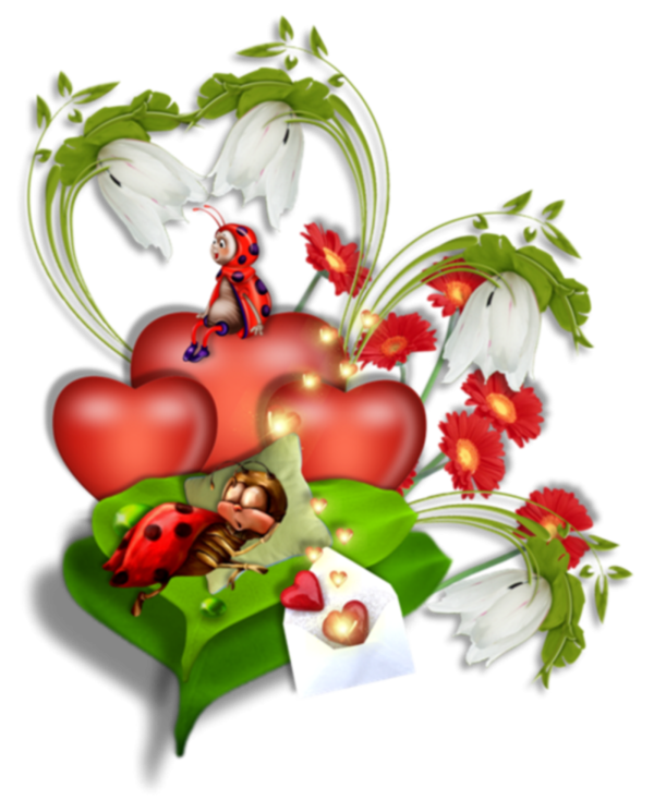 Transparent Ladybird Insect Heart Plant for Valentines Day