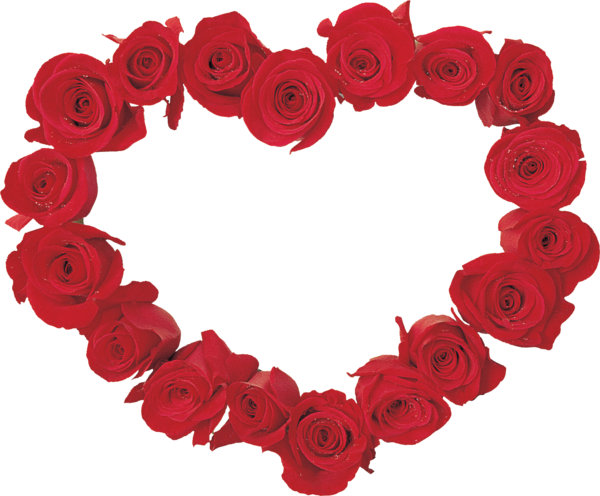 Transparent Valentine S Day Garden Roses Flower Heart for Valentines Day