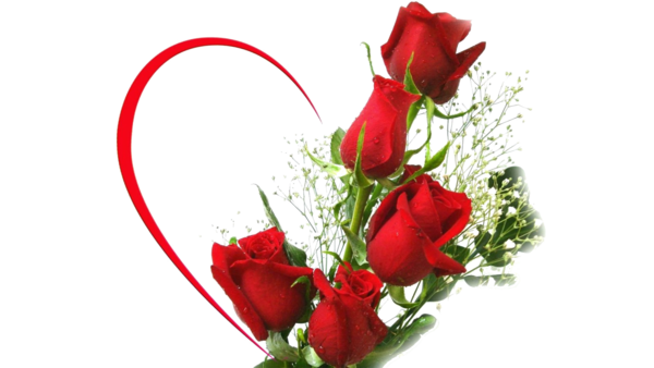 Transparent Love Flower Flower Bouquet Petal Heart for Valentines Day
