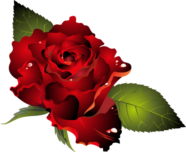 Transparent Valentine S Day Dia Dos Namorados Heart Petal Plant for Valentines Day