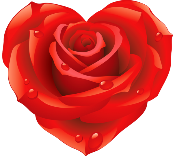 Transparent Rose Heart Flower for Valentines Day