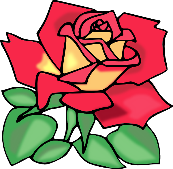 Transparent Rose Black Rose Blog Rose Order Petal for Valentines Day