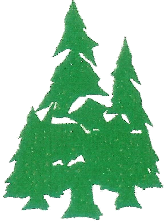 Transparent Christmas Tree Spruce Social Media Tree for Christmas