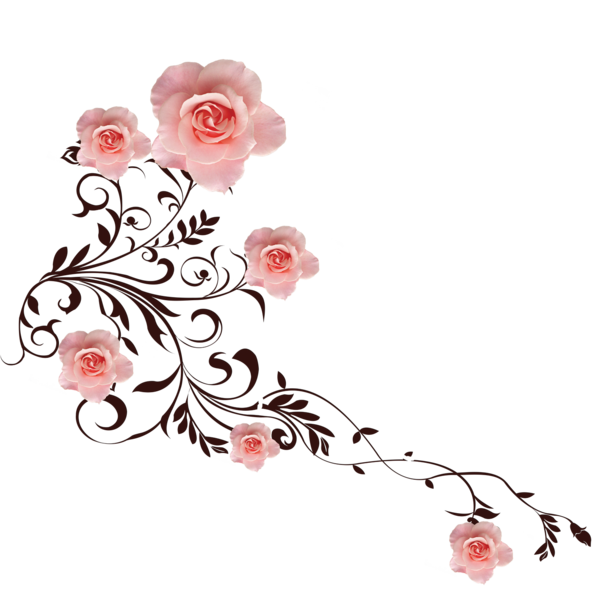 Transparent Rose Flower Petal Rose Order for Valentines Day