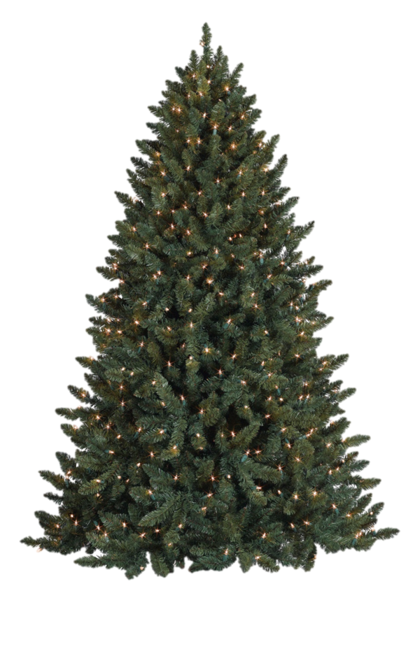 Transparent Balsam Fir Fraser Fir Artificial Christmas Tree Spruce Tree for Christmas