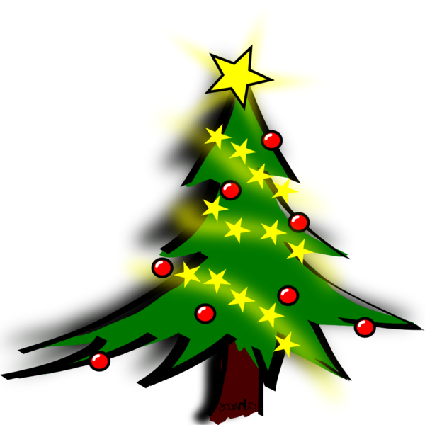Transparent Nordmann Fir Christmas Tree Christmas Fir Pine Family for Christmas