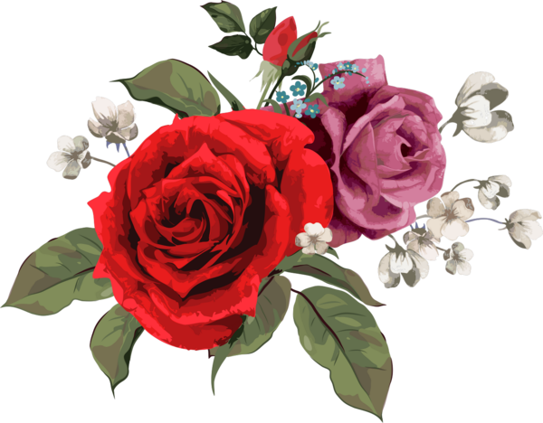 Transparent Flower Rose Floral Design Pink Plant for Valentines Day