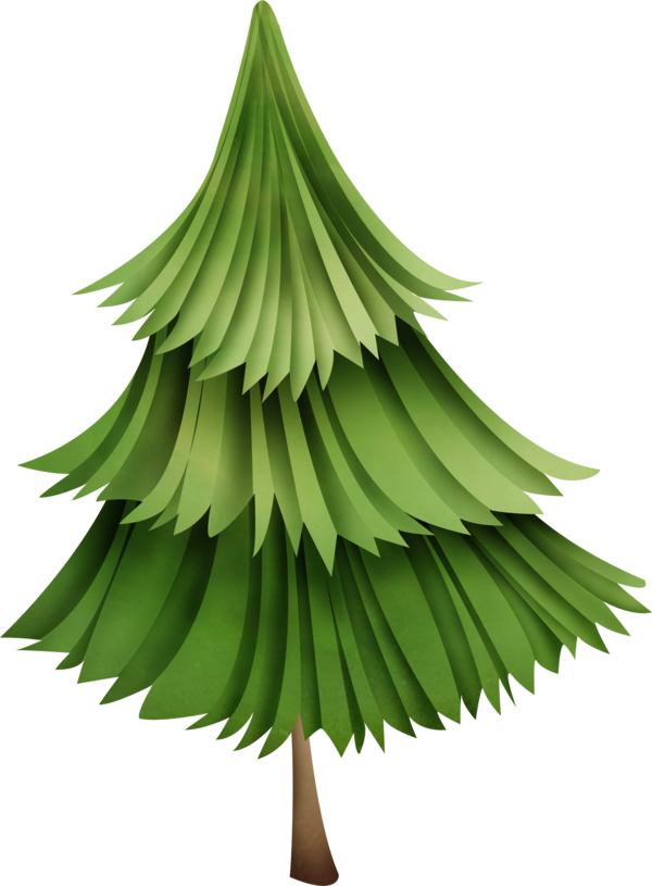 Transparent Christmas Christmas Tree New Year Fir Pine Family for Christmas