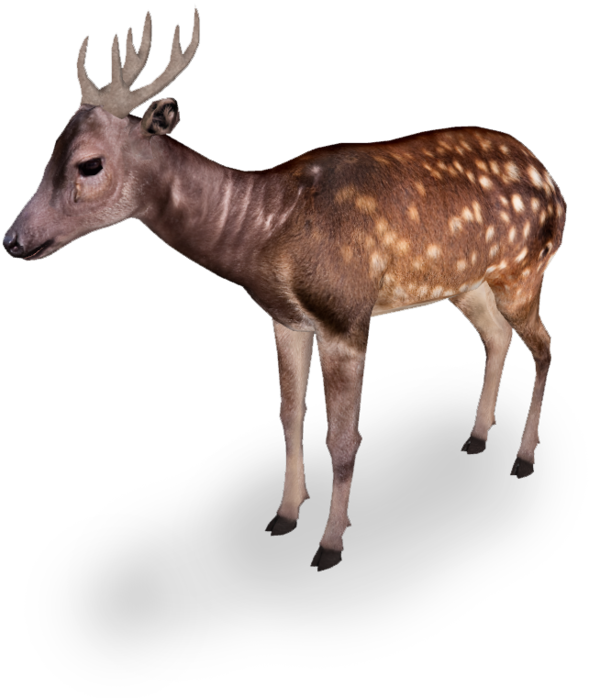 Transparent Zoo Tycoon 2 Reindeer Deer Wildlife for Christmas