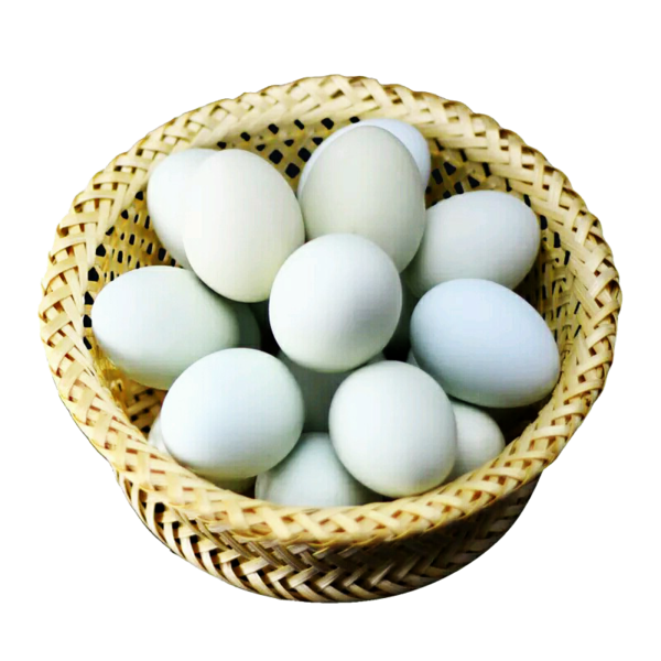 Transparent Egg Salted Duck Egg Duck Food Easter Egg for Easter