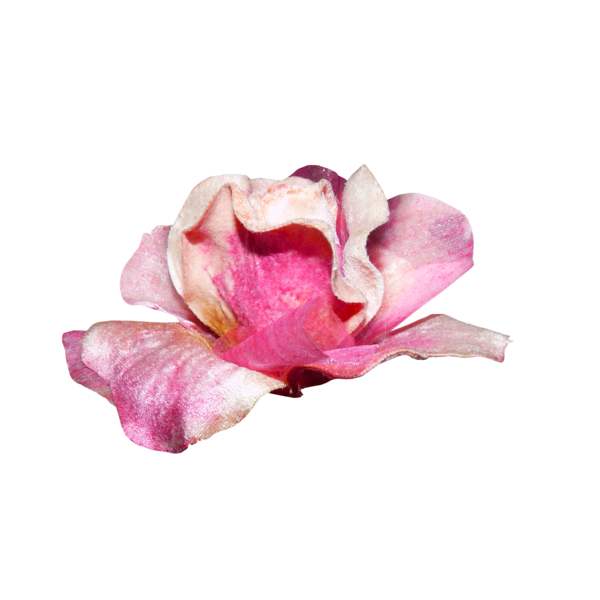 Transparent Garden Roses Flower Flower Bouquet Pink for Valentines Day