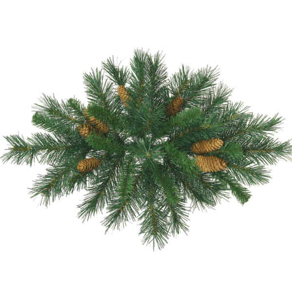 Transparent Christmas Flower Christmas Tree Fir Pine Family for Christmas