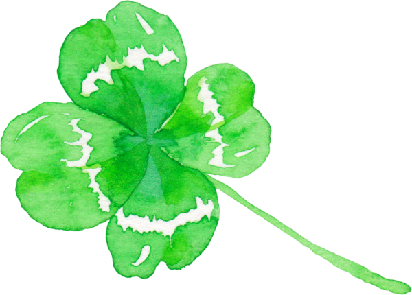 Transparent Fourleaf Clover Green Clover Shamrock Leaf for St Patricks Day