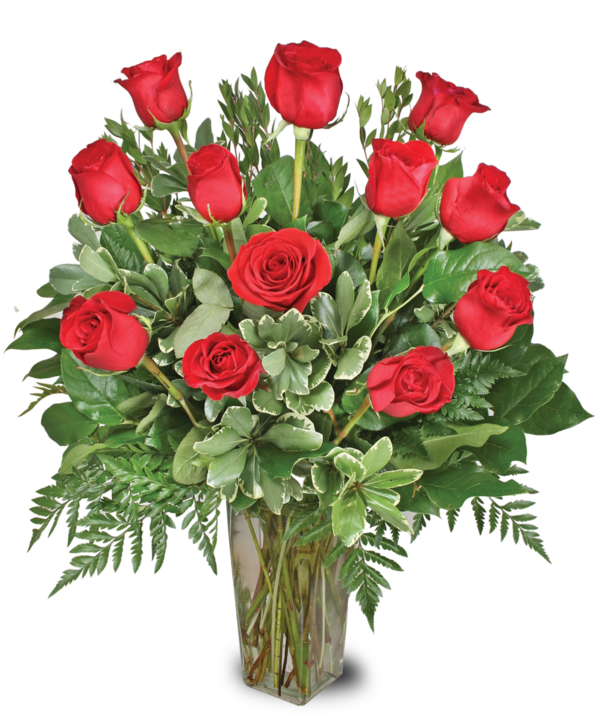 Transparent Garden Roses Wine Red Wine Petal Plant for Valentines Day