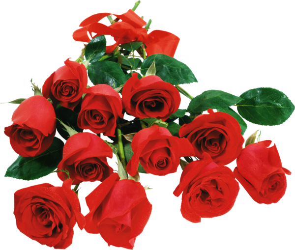 Transparent Rose Flower Desktop Computers Petal Plant for Valentines Day