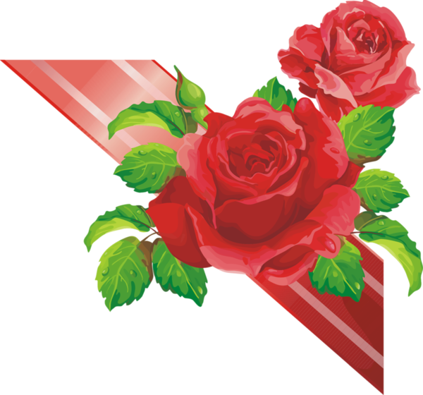 Transparent Garden Roses Paper Letter Flower Red for Valentines Day
